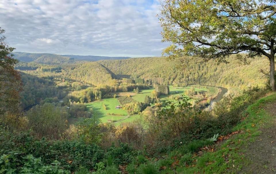 Le Cottage De Christine Vresse-sur-Semois Εξωτερικό φωτογραφία
